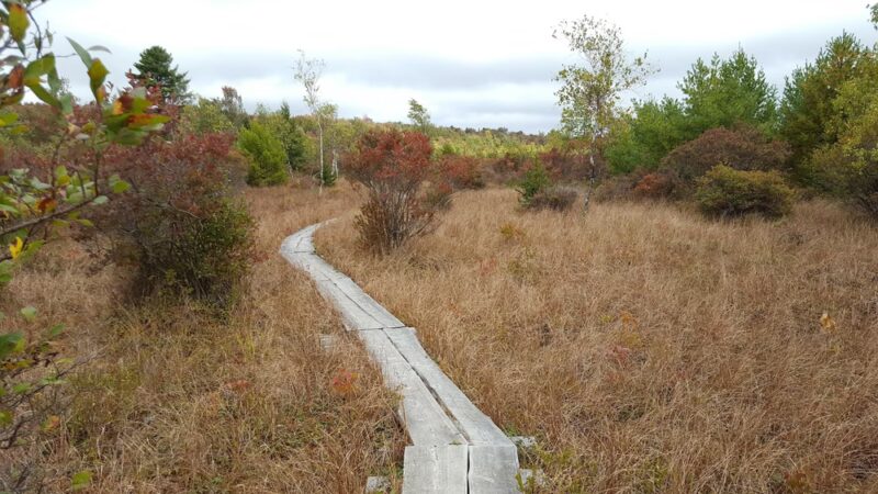 Thomas Darling Preserve at Two-Mile Run - Pocono Lake, PA