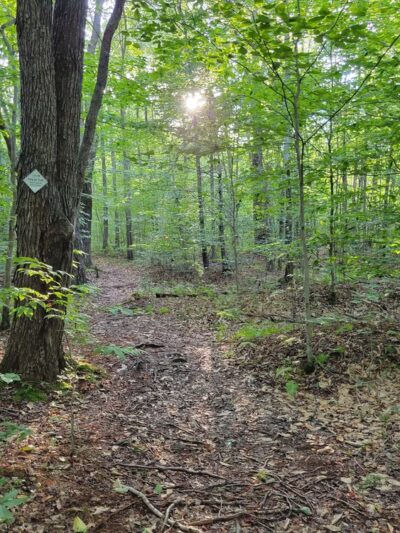 Thomas Darling Preserve at Two-Mile Run - Pocono Lake, PA