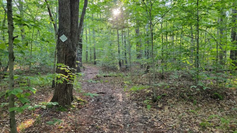 Thomas Darling Preserve at Two-Mile Run - Pocono Lake, PA