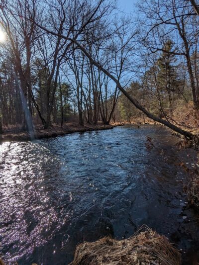 Wildlands Conservancy's Maple Tract Preserve - Pocono Lake, PA