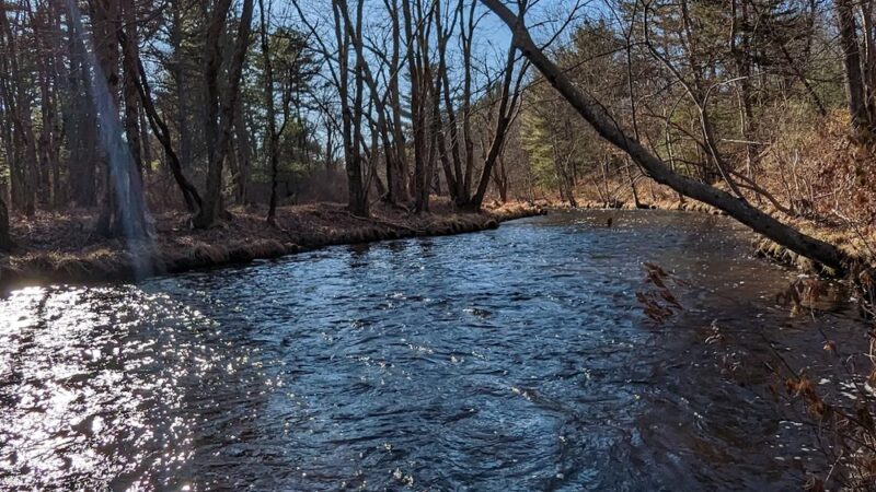 Wildlands Conservancy's Maple Tract Preserve - Pocono Lake, PA