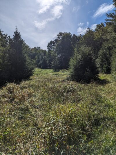 Wildlands Conservancy's Maple Tract Preserve - Pocono Lake, PA