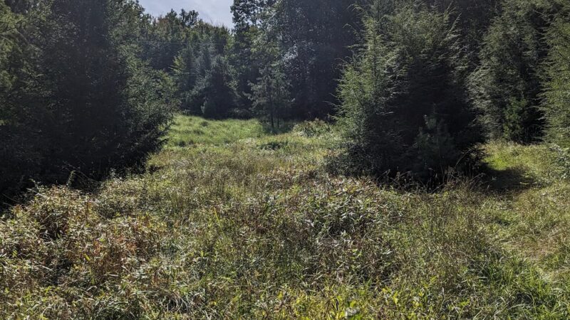 Wildlands Conservancy's Maple Tract Preserve - Pocono Lake, PA