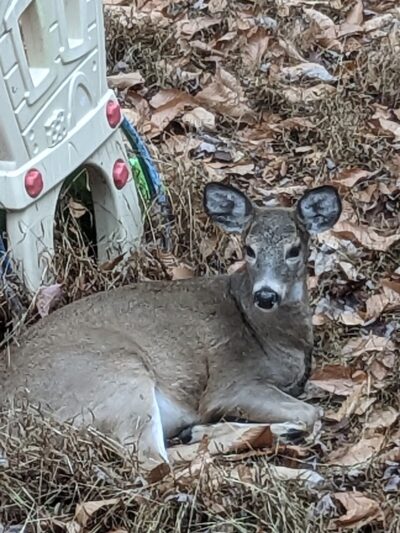 Pocono Summit - Pocono Summit, PA