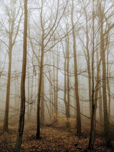 Pocono Summit - Pocono Summit, PA