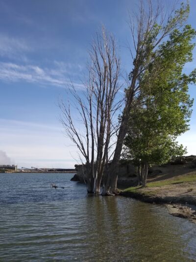 Bridger Pond Park - Point of Rocks, WY