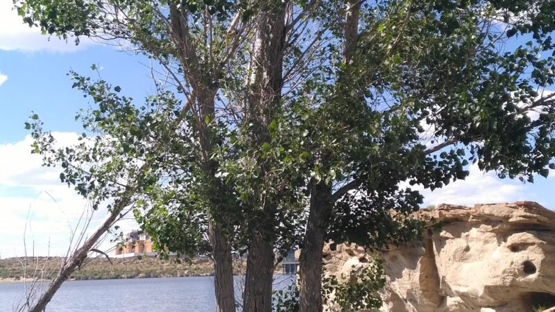 Bridger Pond Park - Point of Rocks, WY