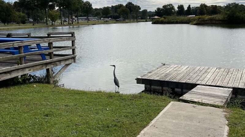 Krodel Park Campground - Point Pleasant, WV