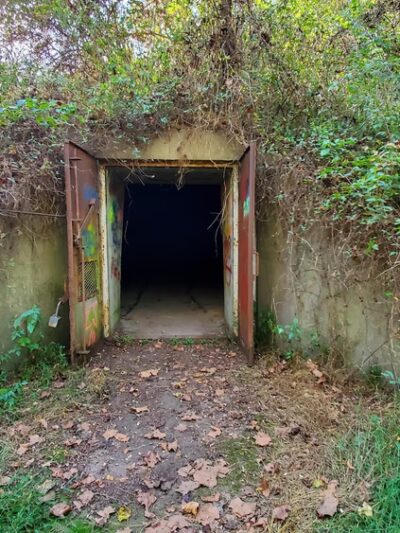McClintic Wildlife Management Area - Point Pleasant, WV