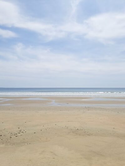 Drakes Beach - Point Reyes Station, CA