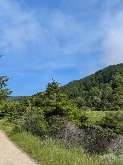 Bear Valley Trailhead - Point Reyes Station, CA