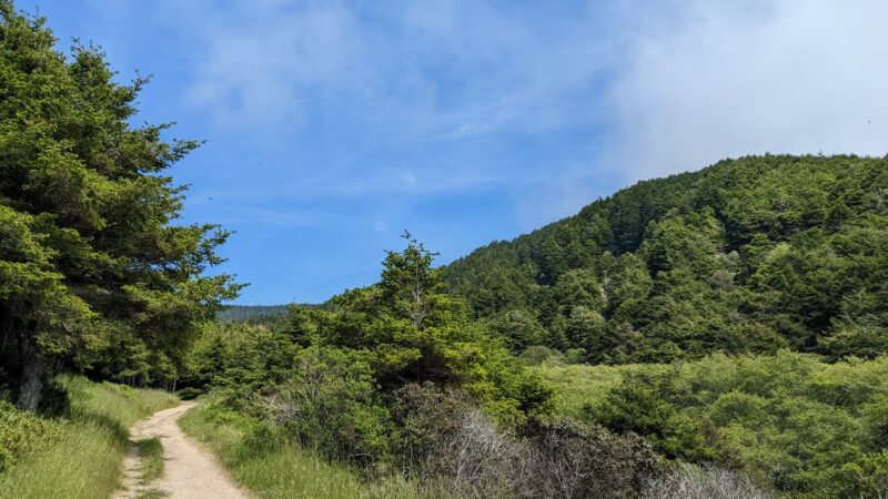 Bear Valley Trailhead - Point Reyes Station, CA
