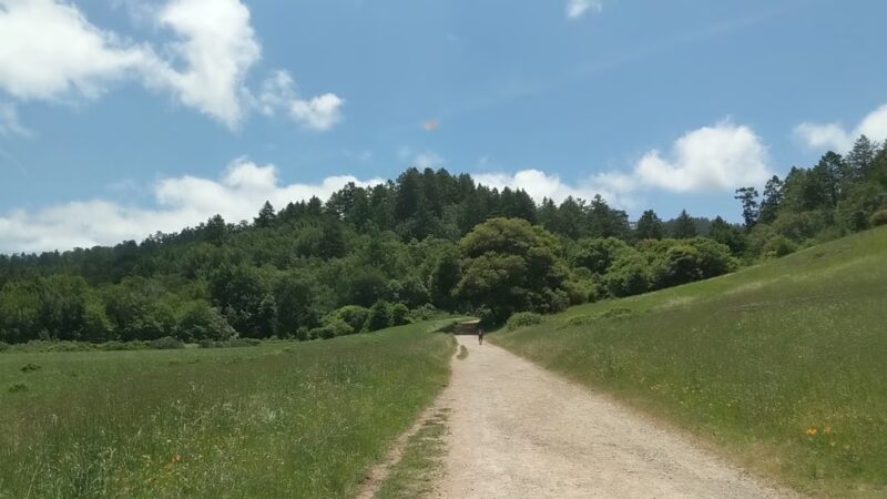 Bear Valley Trailhead - Point Reyes Station, CA