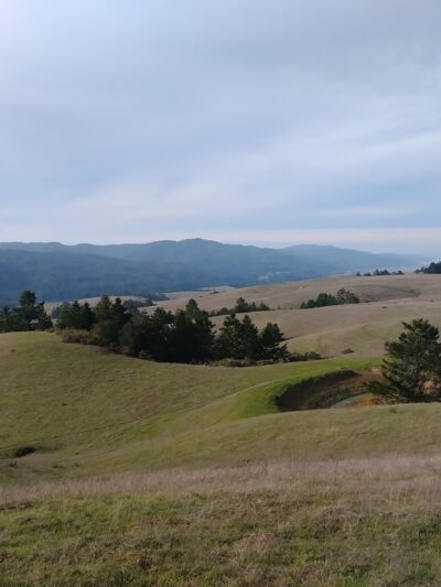 Bolinas Ridge Trailhead - Point Reyes Station, CA