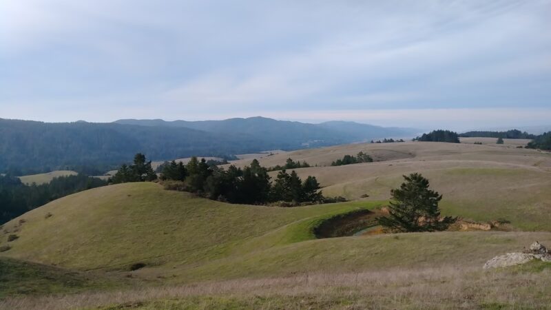 Bolinas Ridge Trailhead - Point Reyes Station, CA