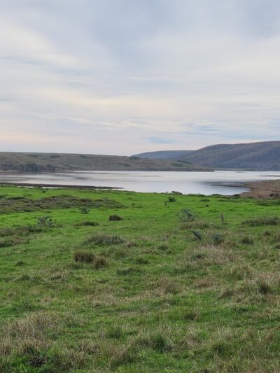 Bull Point Trail - Point Reyes Station, CA
