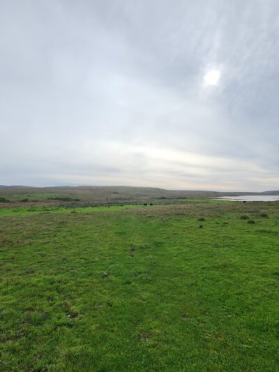 Bull Point Trail - Point Reyes Station, CA