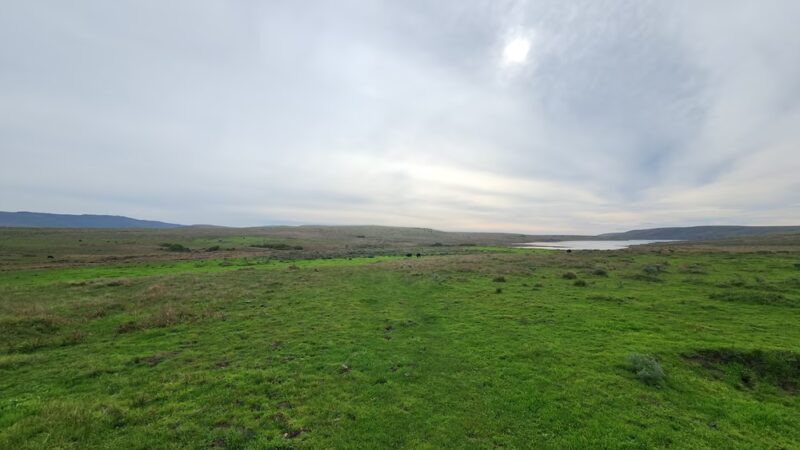 Bull Point Trail - Point Reyes Station, CA