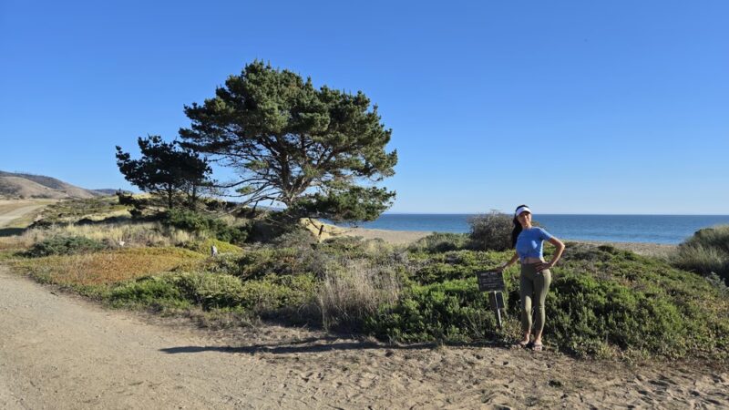 Coast Trail Trailhead - Point Reyes Station, CA
