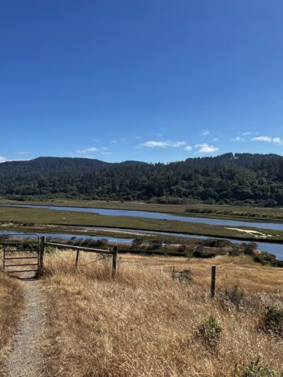 Tomales Bay Trailhead - Point Reyes Station, CA