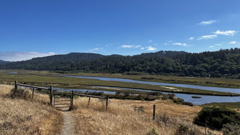 Tomales Bay Trailhead - Point Reyes Station, CA