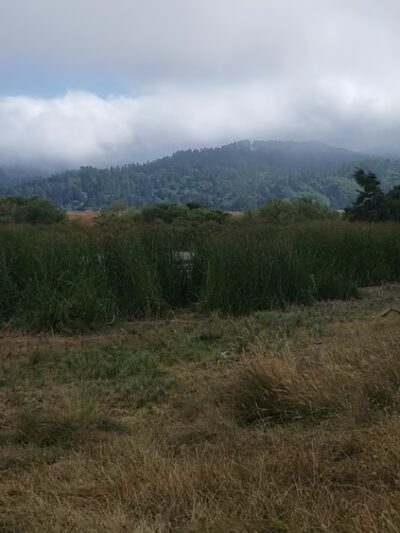 Tomales Bay Trailhead - Point Reyes Station, CA