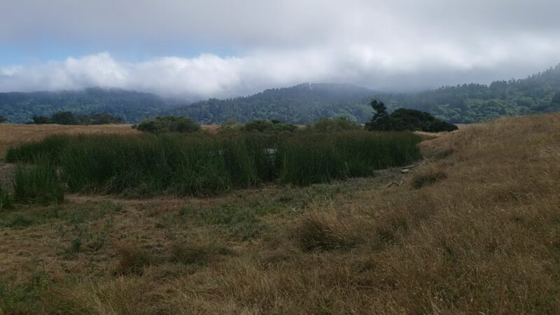 Tomales Bay Trailhead - Point Reyes Station, CA