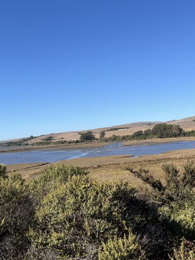 Tomales Bay Trailhead - Point Reyes Station, CA
