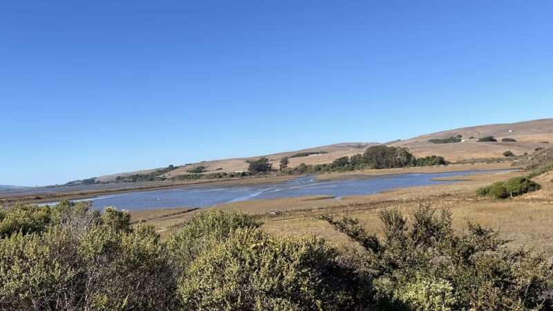 Tomales Bay Trailhead - Point Reyes Station, CA