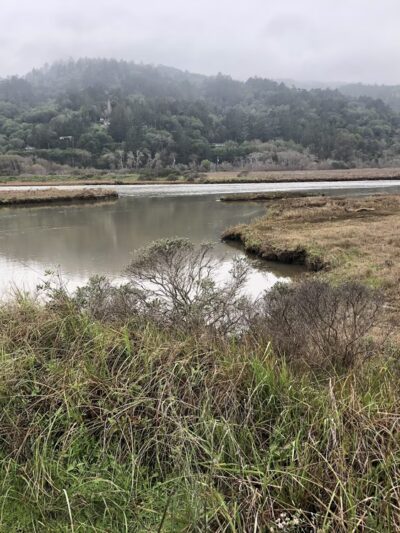 Tomales Bay Trailhead - Point Reyes Station, CA
