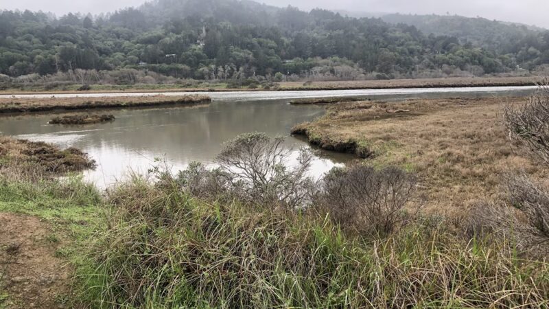 Tomales Bay Trailhead - Point Reyes Station, CA