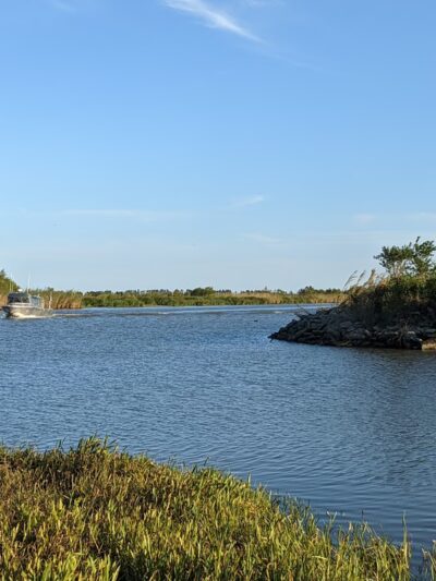 Pointe à la Hache - Pointe à la Hache, LA