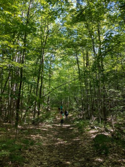 Bragdon Hill Forest - Poland, ME