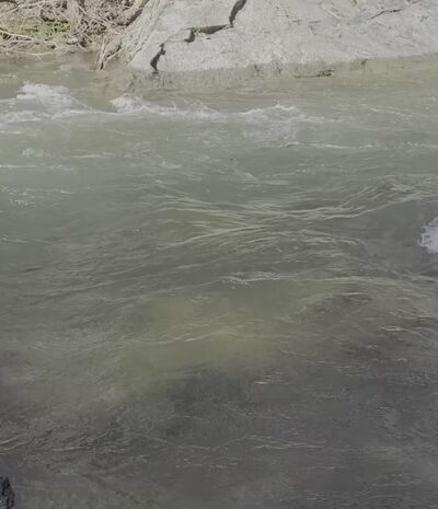 Pollock Pines Recreation Park - Pollock Pines, CA