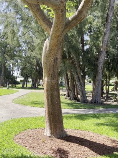 Harbor's Edge Park - Pompano Beach, FL