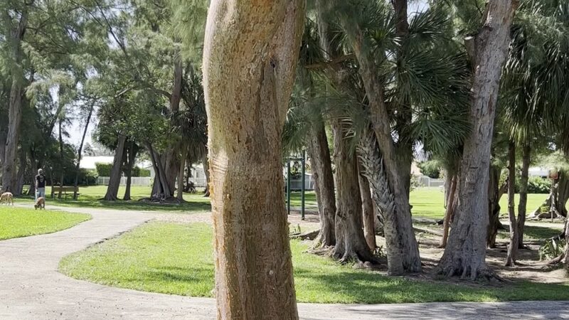 Harbor's Edge Park - Pompano Beach, FL