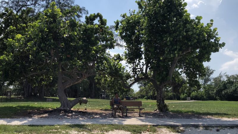 Harbor's Edge Park - Pompano Beach, FL