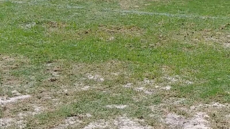 North Broward Park - Pompano Beach, FL