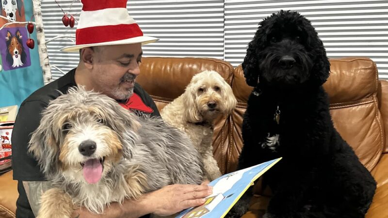 Besties 4 Paws - Pompton Plains, NJ