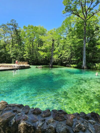 Ponce de Leon Springs State Park. - Ponce De Leon, FL