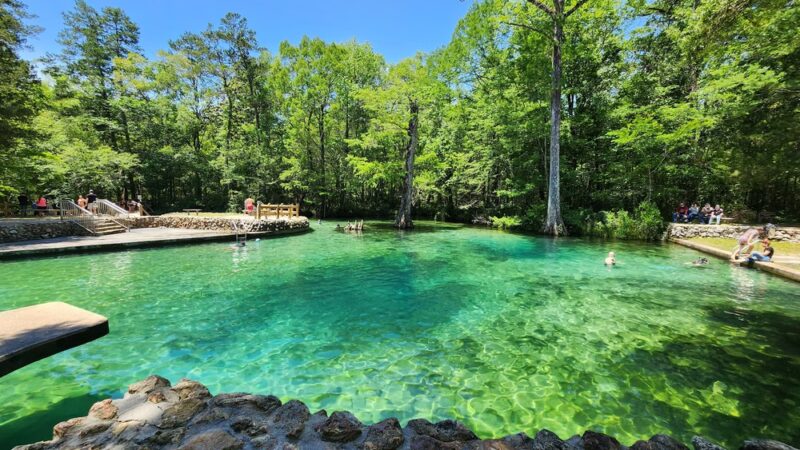 Ponce de Leon Springs State Park. - Ponce De Leon, FL