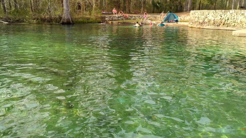 Ponce de Leon Springs State Park. - Ponce De Leon, FL