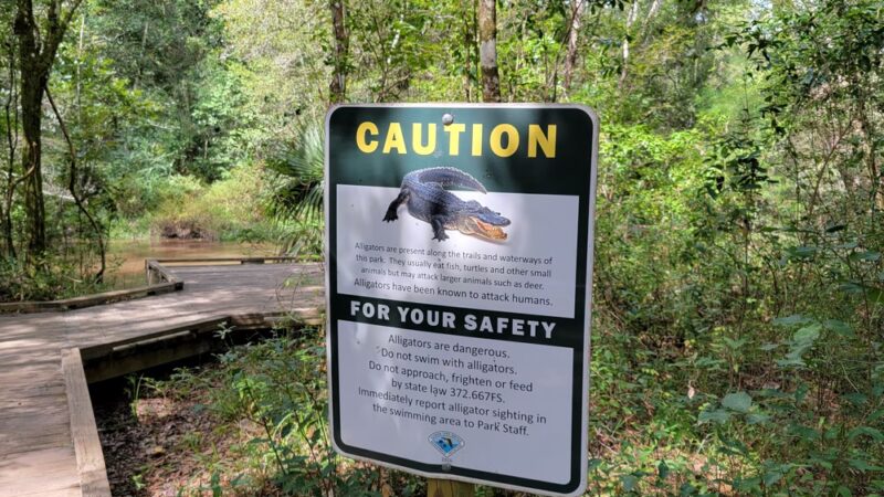 Ponce de Leon Springs State Park. - Ponce De Leon, FL