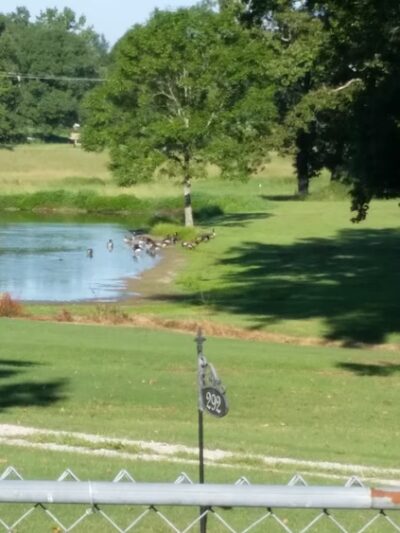 Algoma City Park - Pontotoc, MS