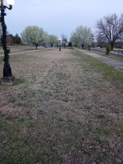 Algoma City Park - Pontotoc, MS