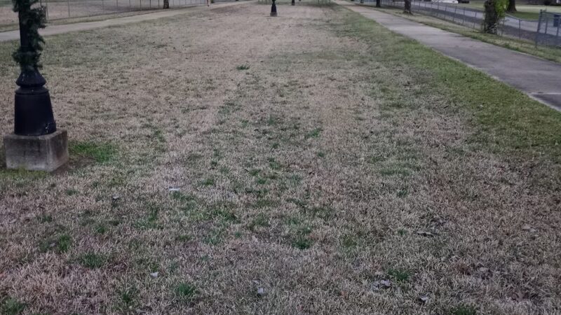 Algoma City Park - Pontotoc, MS