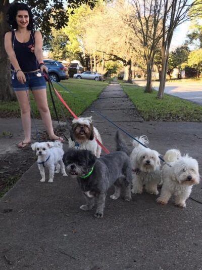 Pooch And Pal Pet Care - ,