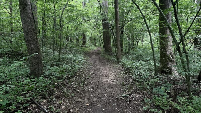 Seneca Creek Greenway Trail - Poolesville, MD