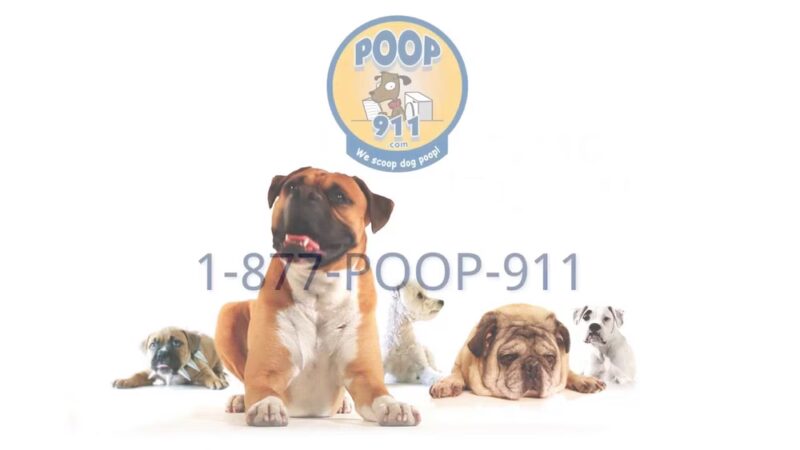 POOP 911 Philadelphia - ,