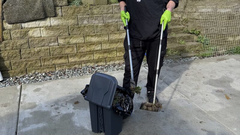 Pooperman - ,